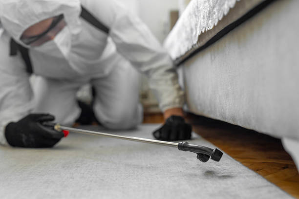 Professional Ant Control technician working in Port Byron, IL
