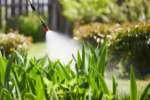 24/7 Emergency Ant Control experts in Port Byron, IL